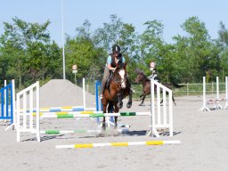 IMG_0660_web